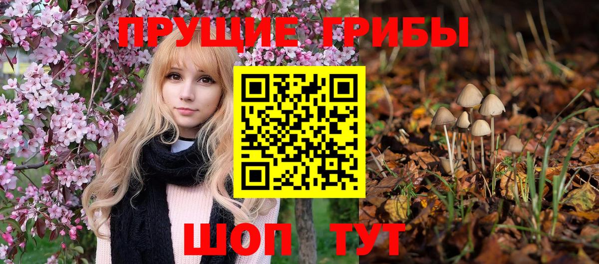 Галлюциногенные грибы MAGIC MUSHROOMS Мытищи