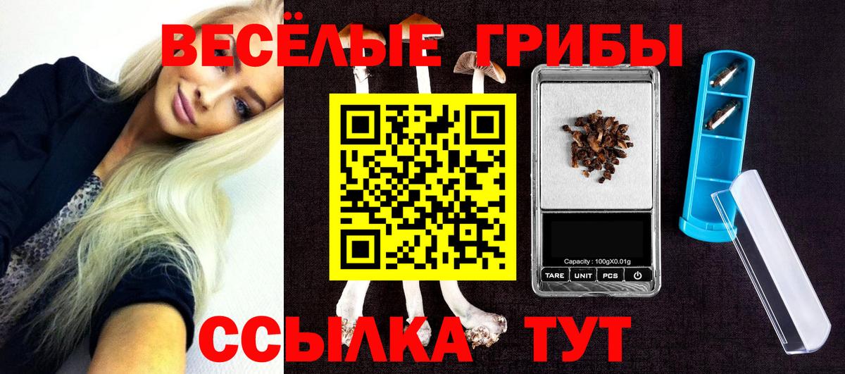 где купить наркотик  Галлюциногенные грибы ЛСД  Вход с VPN  Мытищи 