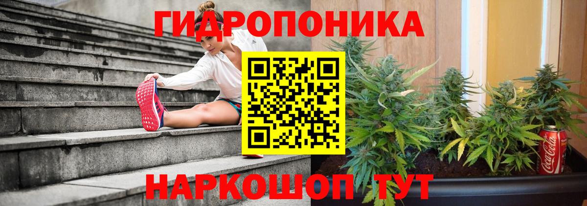Канабис White Widow Мытищи